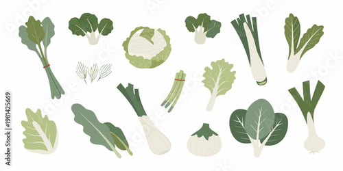 Variety of fresh green vegetables including bok choy and cabbage