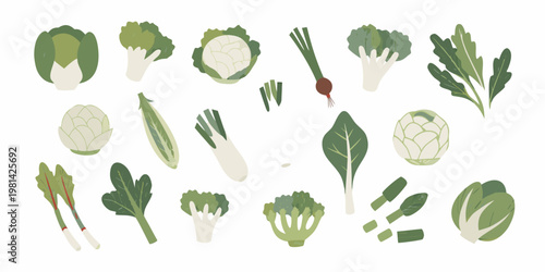 Assorted fresh vegetables in a colorful illustrative design