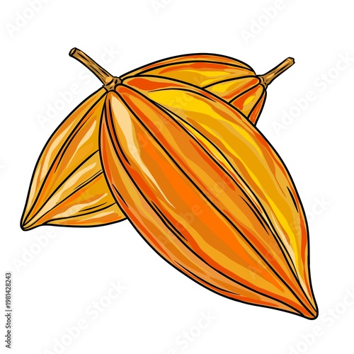Konstfotografi Simple cute Illustration carambola branch illustrations, a clean vector set ideal for packaging,, and product design, Vector illustration of carambolas, on clean background