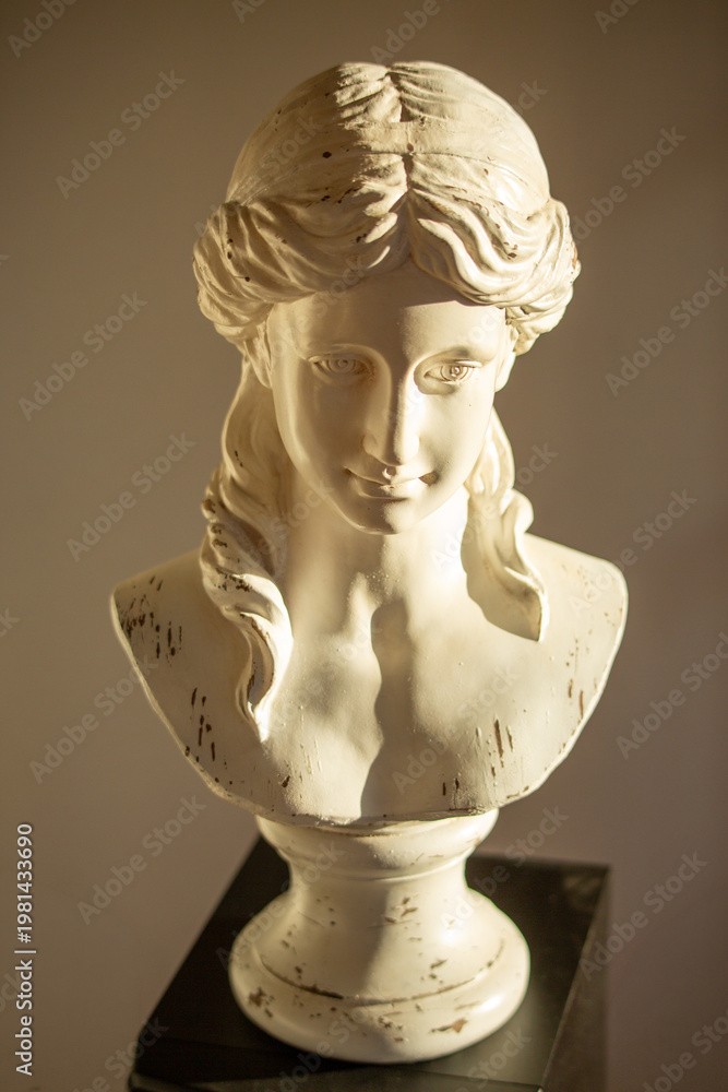 Obraz premium Classical female bust with downward gaze and dramatic top-down lighting for artistic drawing reference