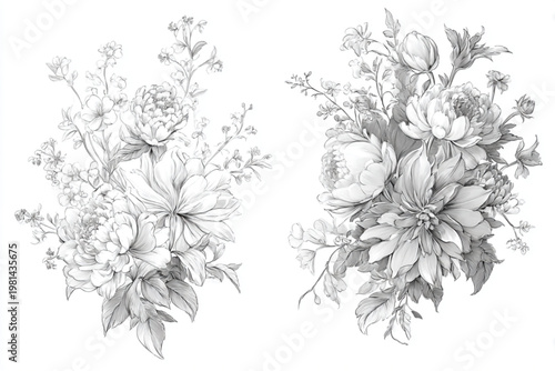 Detailed Floral Illustrations Arranged Elegantly On White Background For Decorative Designs