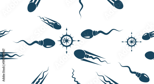Sperm Cell and Compass Pattern