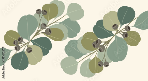 Eucalyptus branches with leaves and gumnuts in a minimalist style.