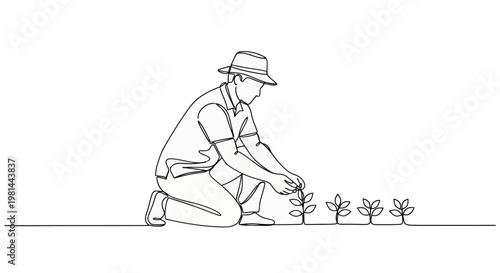 Man kneeling and planting a small tree or sapling in the ground with several plants nearby in a line