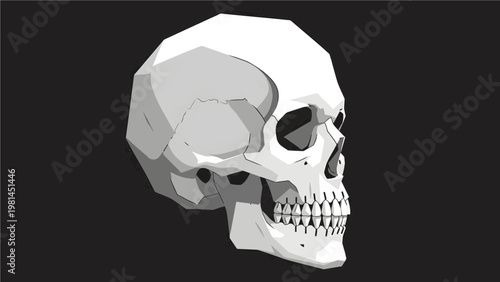 Low Poly Human Skull Profile Illustration on Black Background, Modern Anatomical Design

