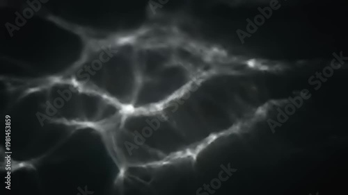 Neuron Cells in the Brain.