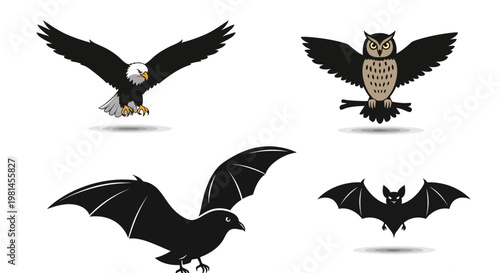 Flying nocturnal animals in flight.