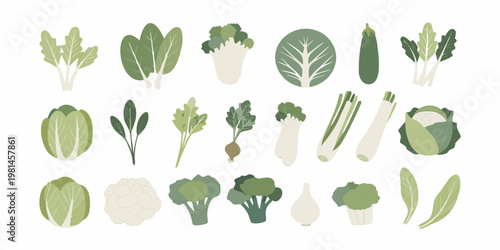 Assorted green vegetables arranged in a botanical illustration style