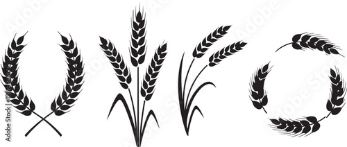 Various wheat ear silhouettes including stalks and wreaths representing agriculture farming and organic grain production icons isolated.