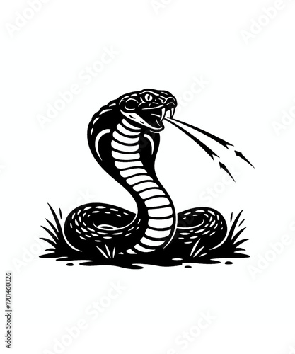 A striking black and white vector illustration of an aggressive cobra snake with its mouth open wide