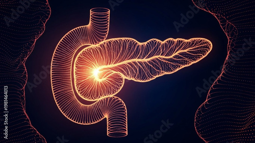 World Pancreatic Cancer Day  pancreas and duodenum, highlighting intricate anatomical structure and potential areas of medical significance or disease, symbolizing health insights