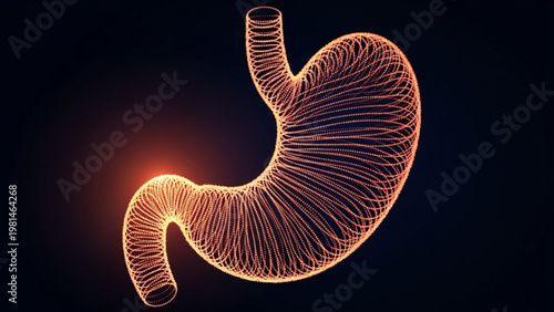 Illuminated digital representation of the human stomach showcasing a focal point of discomfort or inflammation, symbolizing digestive issues and anatomical pain