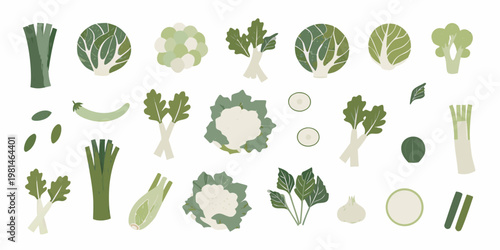 A colorful illustration of various fresh green vegetables arranged on white