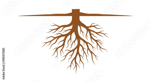 Tree Roots System Underground Illustration