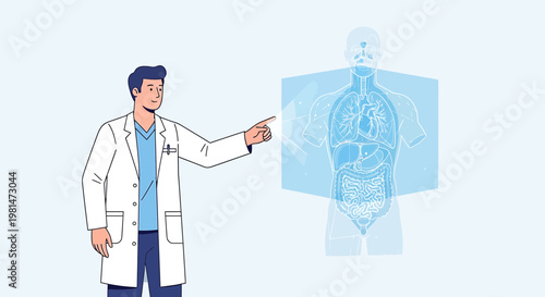 Doctor pointing at holographic human anatomy, medical presentation, science and healthcare concept