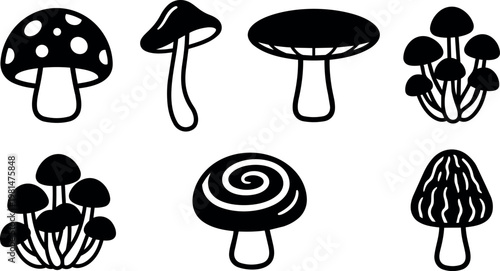 Six different mushrooms with distinct shapes