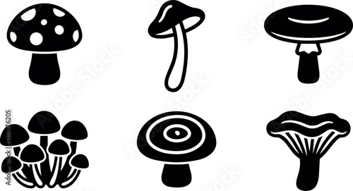 Six various mushroom shapes and clusters