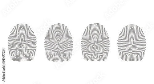 Four Fingerprint Patterns in a Row: Identification, Security, and Biometrics Concept