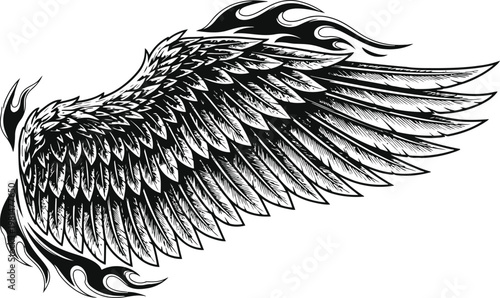 Angelic Wing with Fiery Accents in Black and White Vector Illustration
