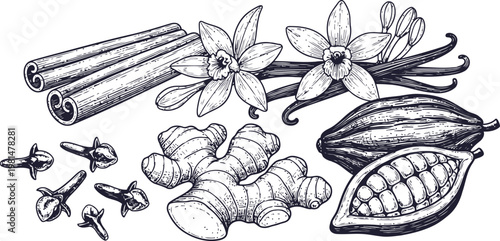Aromatic Spices and Cocoa Beans in a Detailed Botanical Illustration with Vanilla Flowers