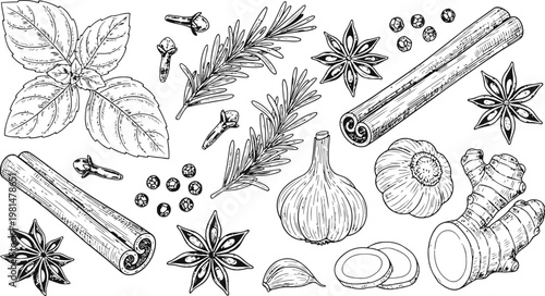 Assortment of aromatic herbs and spices arranged for culinary inspiration