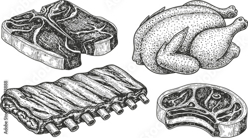 Assortment of Raw Meat Cuts including Ribs Steak and Whole Chicken sketched in a vintage style