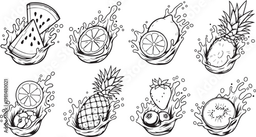 Detailed botanical sketches of plant anatomy and reproductive structures Vector