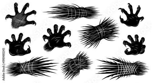 Collection of black animal paws and feet with sharp claws on white background various textures and angles