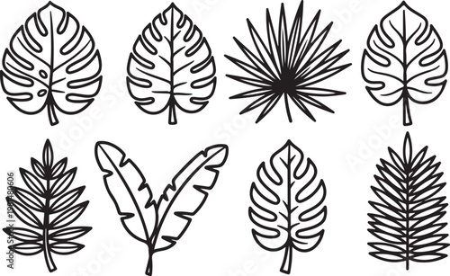 Фотография Diverse leaf patterns showcasing botanical shapes and vein structures Vector