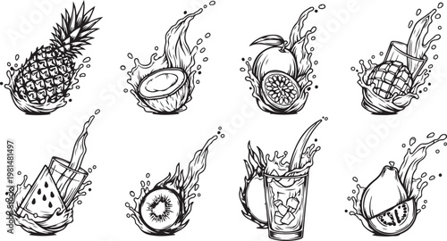 Vibrant botanical illustrations showcasing different plant species in detail Vector