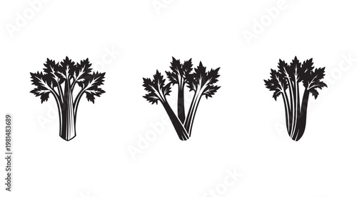 Black and white illustrations of celery stalks with leaves  vegetable graphics for design and decoration