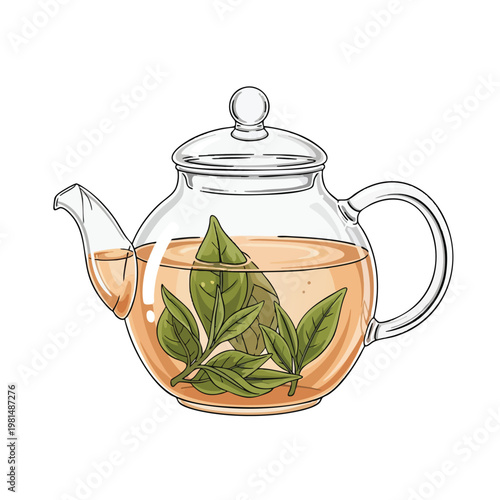 Fresh Loose Leaf Herbal Tea in a Clear Glass Teapot for Boiling and Steeping