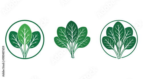 Green leafy vegetable icons in different styles and shapes for food and nutrition concepts  leafy greens are a healthy food source