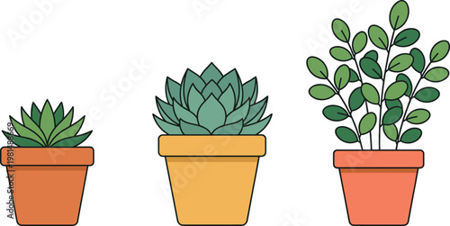 Cartoon Potted Succulents Collection with Aloe, Echeveria, and Green Foliage for Nature and Home Decor Illustrations