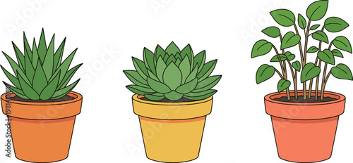 Cartoon Potted Succulent and Plant Collection with Aloe, Echeveria, and Green Leaves for Nature and Home Decor Illustrations