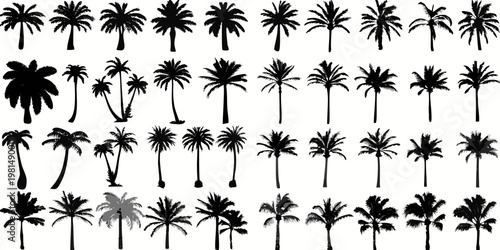 Collection of diverse black silhouettes depicting tropical palm trees and foliage