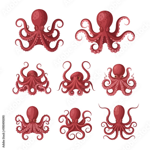 Set of Red Octopuses, Marine Life Illustrations, Various Poses