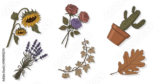 Botanical Collection: Sunflower, Roses, Lavender, Cactus, Ivy, Oak Leaf - Hand-Drawn Style