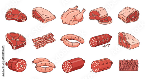 Comprehensive set of various raw meat products including steaks, chicken, bacon, sausages, salami, and minced meat portions.