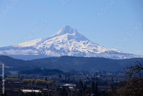 Snow-topped Mount Hood rises above vineyards in Oregon