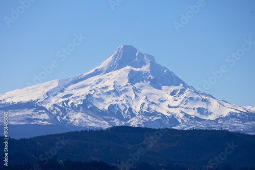 Snow-topped Mount Hood rises above vineyards in Oregon