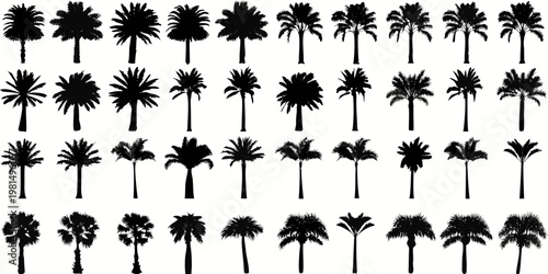 Collection of diverse palm tree silhouettes against a neutral background