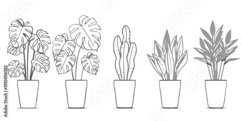 Line art illustration of four different potted indoor plants