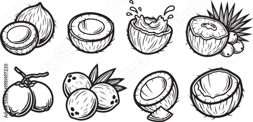 Line art sketches of a variety of fruits and vegetables Vector