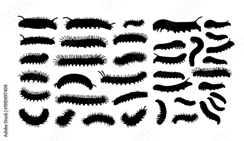 A collection of various caterpillar silhouettes on a white background