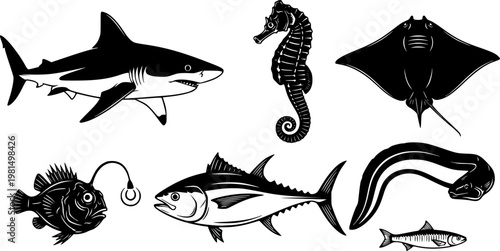 Collection of Silhouettes of Various Marine Animals Including a Shark, Seahorse, Ray, Anglerfish, Tuna, Eel, and Sardine.
