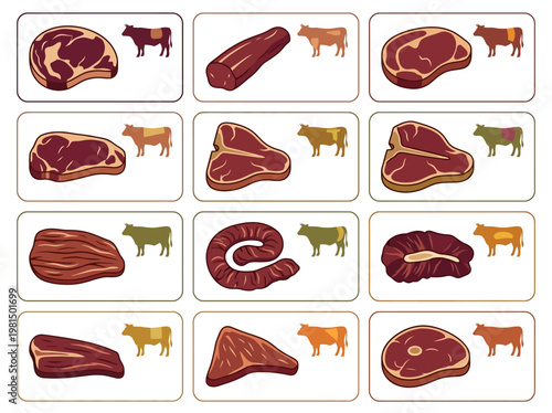 Comprehensive 2D Vector Infographic Illustrating Various Beef Cuts and Their Anatomical Placement on a Bovine Diagram