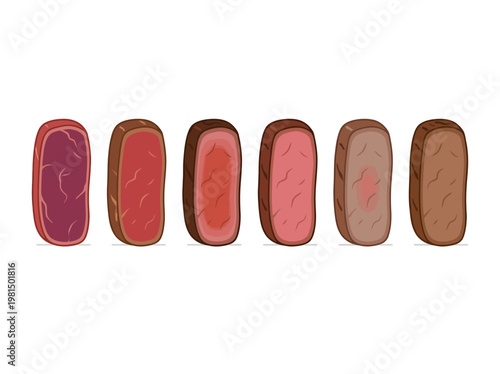 Visual Guide to Steak Doneness: Flat 2D Vector Illustration Displaying Various Internal Textures of Cooked Beef Cuts