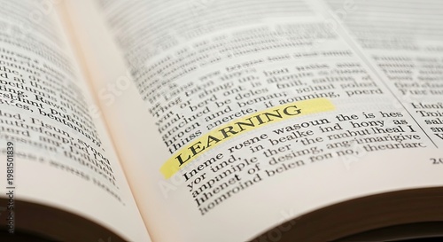 The Importance of Learning in Personal and Professional Growth