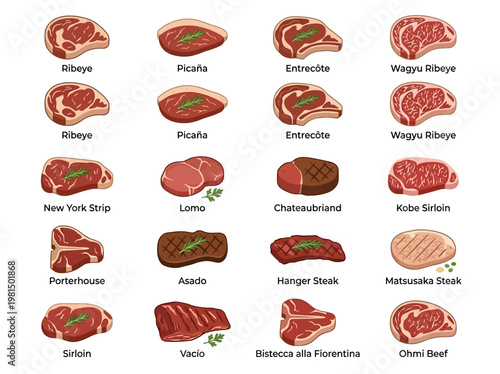 Illustrated guide featuring a balanced variety of global beef steak cuts, from ribeye to sirloin, in a clean infographic style.